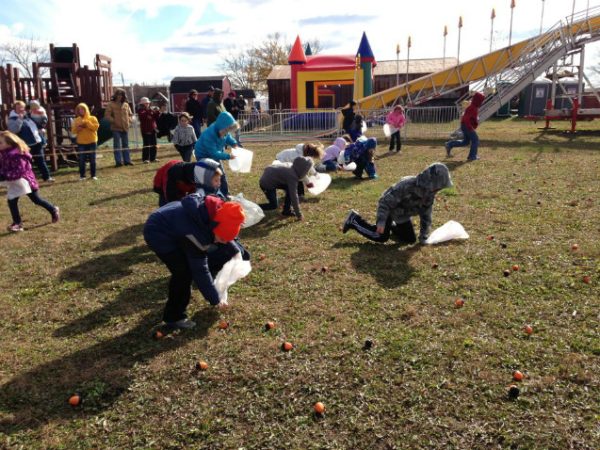 Harvest Tyme Pumpkin Patch and Corn Maze