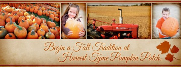 Harvest Tyme Pumpkin Patch and Corn Maze