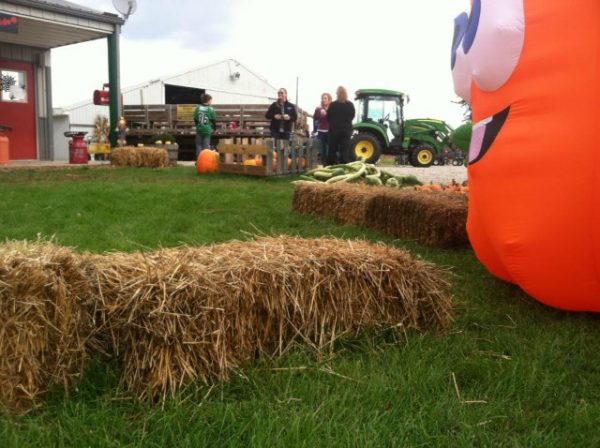 Guse Corn Maze