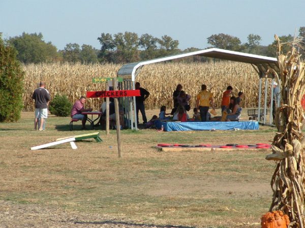 Guse Corn Maze