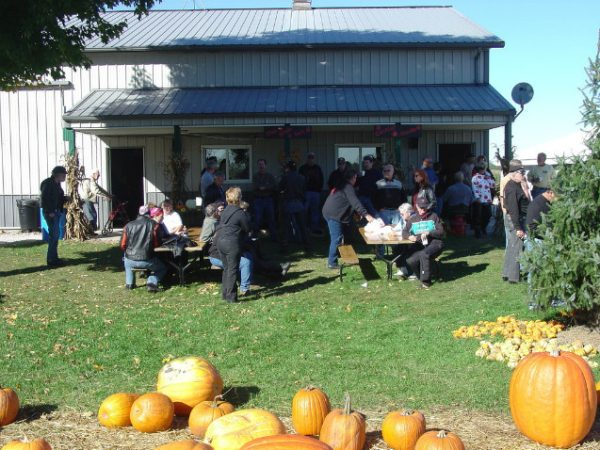 Guse Corn Maze