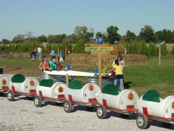 Guse Corn Maze