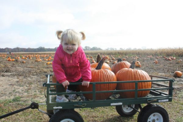 Guse Corn Maze