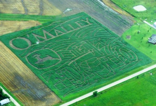 Reichenberger Corn Maze & Pumpkin Patch