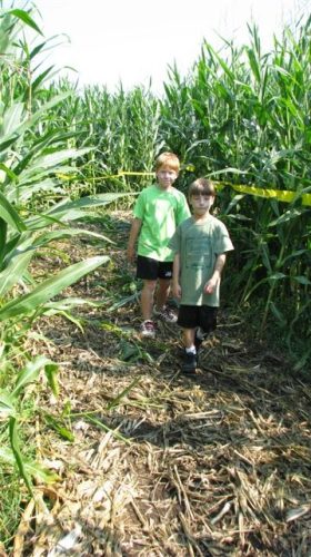 KC CORN MAZE and PUMPKIN FESTIVAL