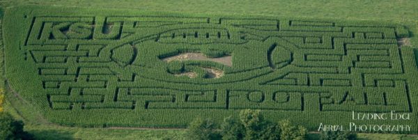 KC CORN MAZE and PUMPKIN FESTIVAL