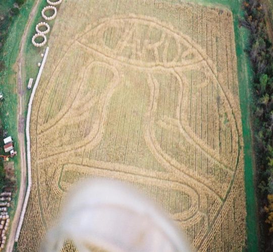 Gunter Farms Pumpkin Patch and Corn Maze