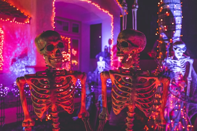 The True History of Haunted Houses 3 halloweenie halloween party