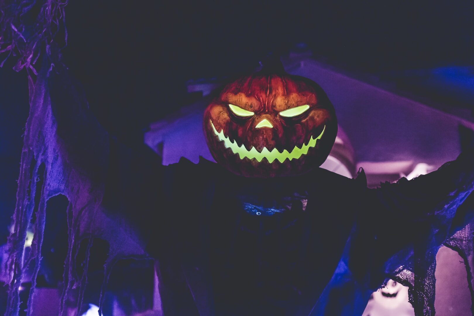 signs you could be a Halloweenie