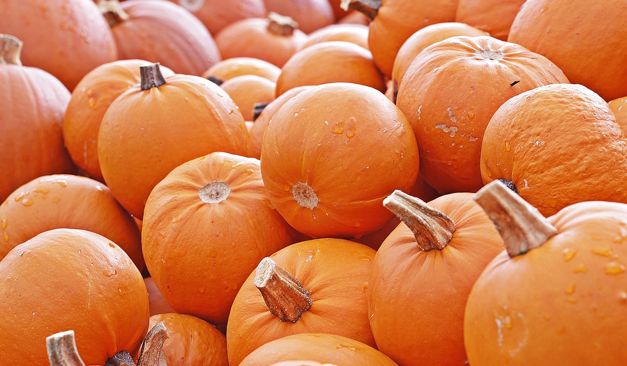 5 Types of Pumpkins and Their Uses