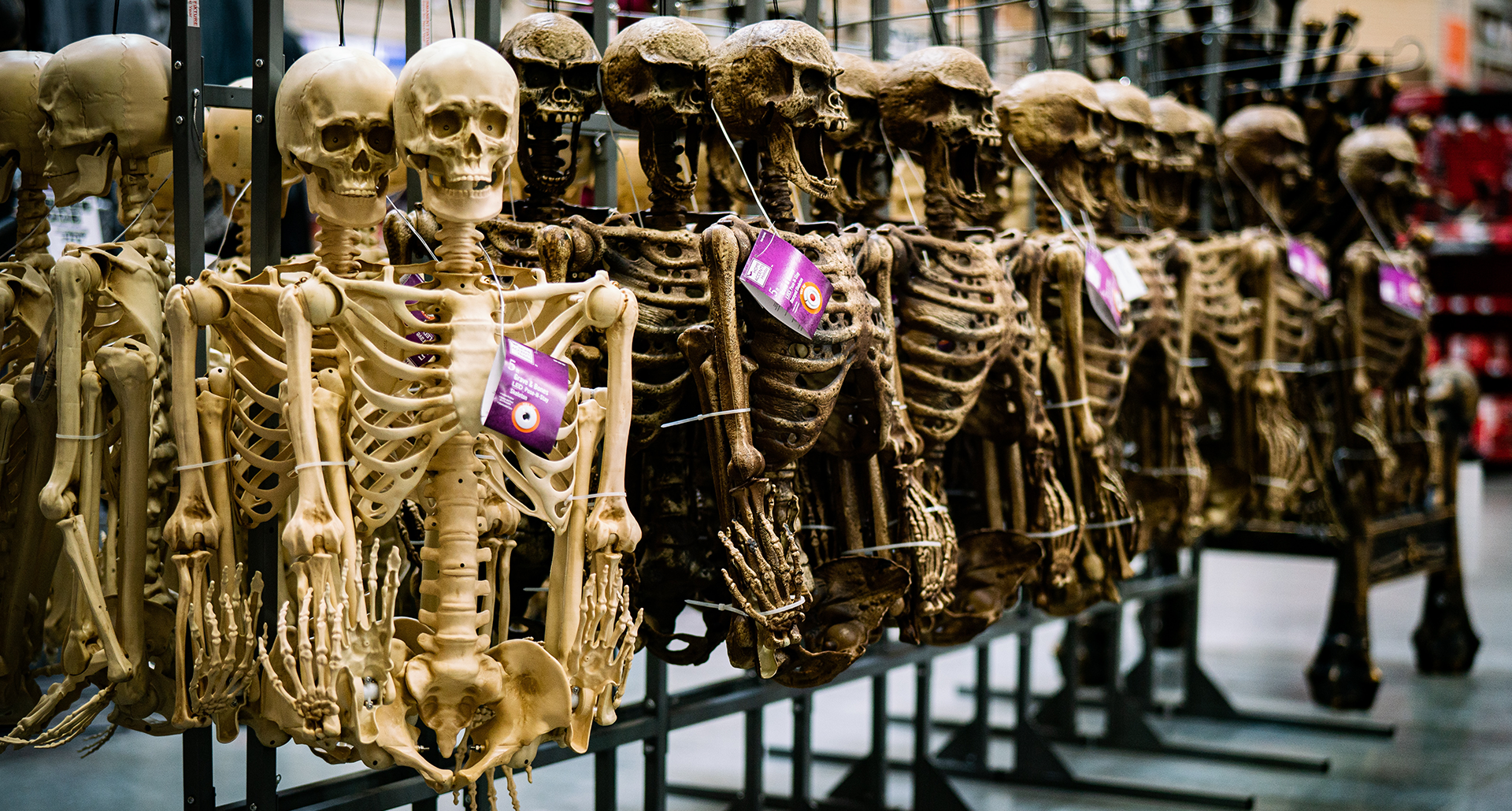 full-size skeleton decorations