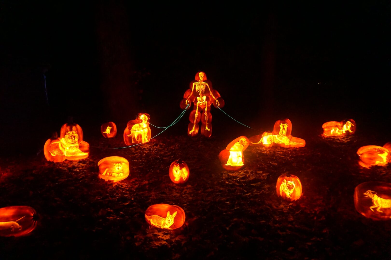 Top 5 Halloween Competition Shows to Amp Up Your Excitement in 2023 1 Pumpkin Carving Halloween Competition