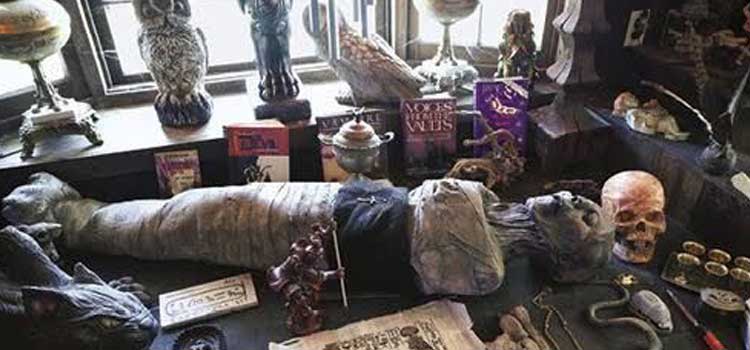 The Haunting Chronicles: Exploring The Warren Occult Museum